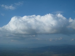 082608060844Img_0379a