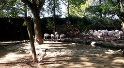 20160925_115132